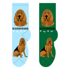 Foozys Ladies Socks - Bloodhound