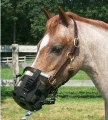 Best Friend Clip-On Grazing Muzzle