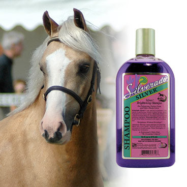 Silverado Silver Shampoo - 16 oz