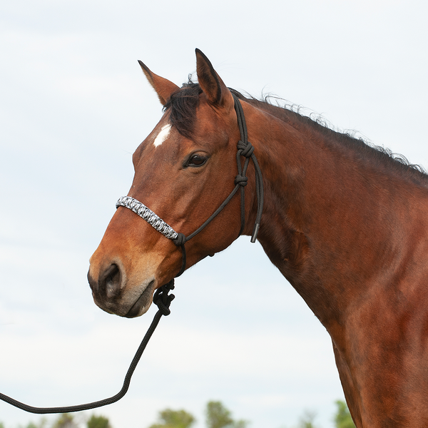 Cashel Braided Nose Rope Halter