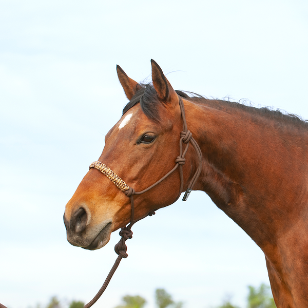 Cashel Braided Nose Rope Halter