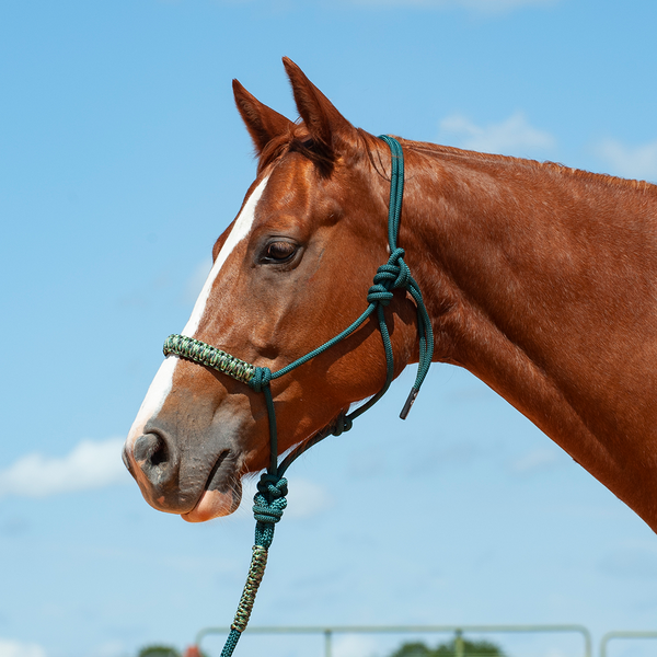 Cashel Braided Nose Rope Halter