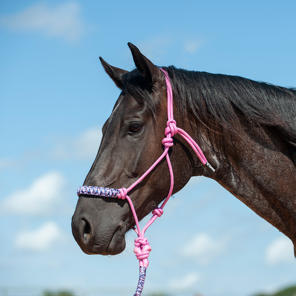 Cashel Braided Nose Rope Halter