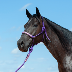 Cashel Braided Nose Rope Halter