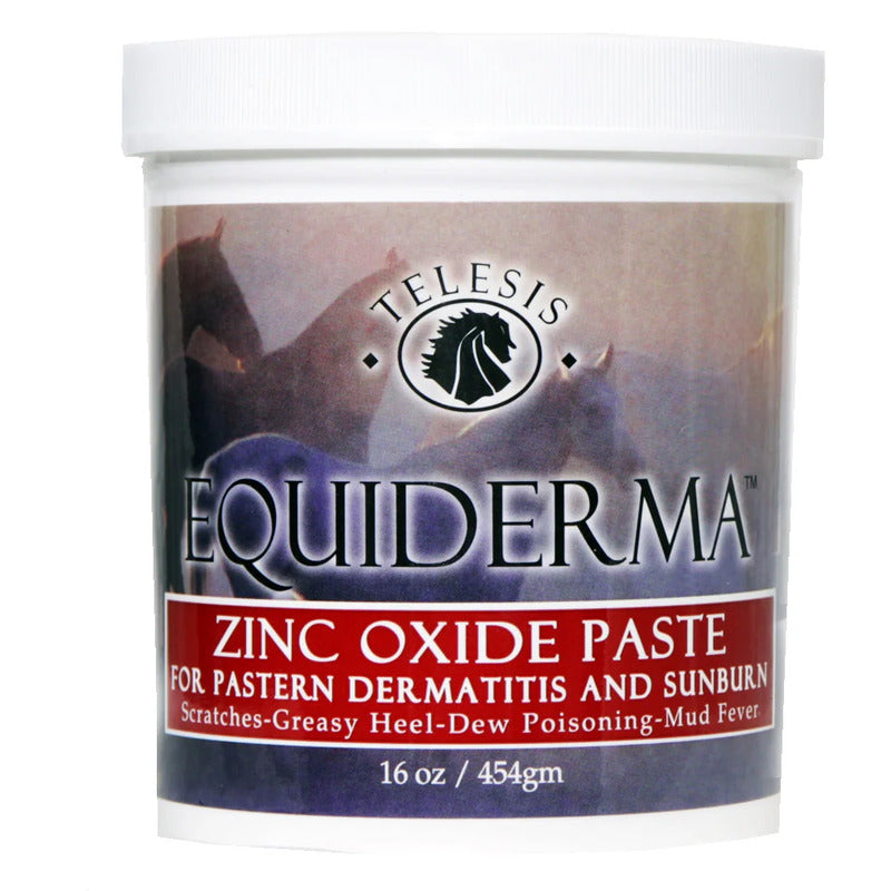 Equi-Derma Zinc Oxide Paste 16oz