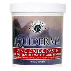 Equi-Derma Zinc Oxide Paste 16oz